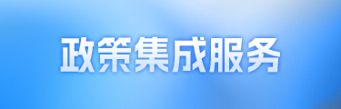 政策集成服務