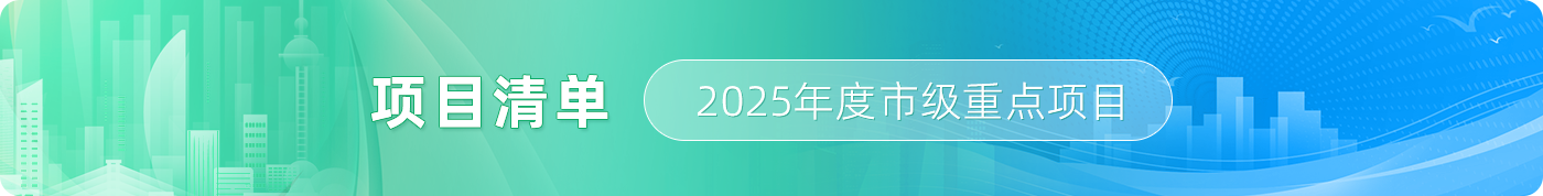 項目清單 2025年度市級重點項目