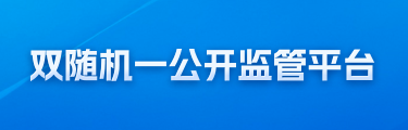 雙隨機一公開監管平臺