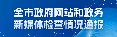 全市政府網站和政務新媒體檢查情況通報