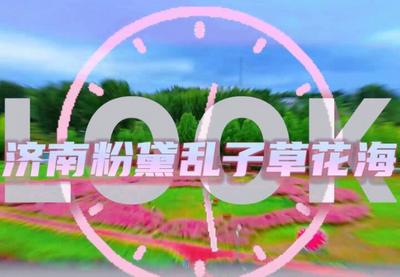 拿捏秋日氛圍感？濟南這些免費花海，教你輕松圈“粉”！