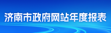2025年濟南市政府網站年度報表