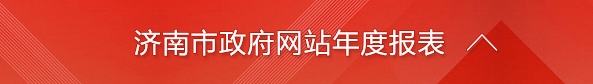 濟(jì)南市政府網(wǎng)站年度報(bào)表